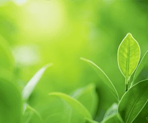 curso-gestión-ambiental-Formalba