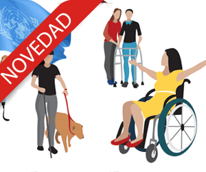 curso-derechos-personas-discapacidad-ONU-Formalba